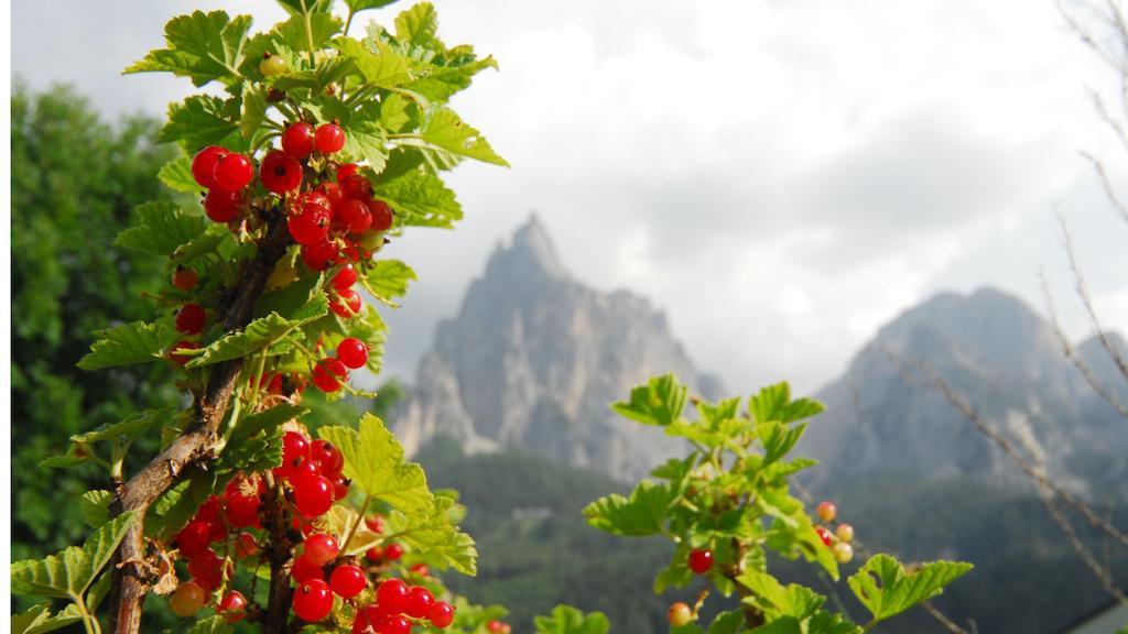 Bed and Breakfast Garni Karlegger Сьюзи Экстерьер фото